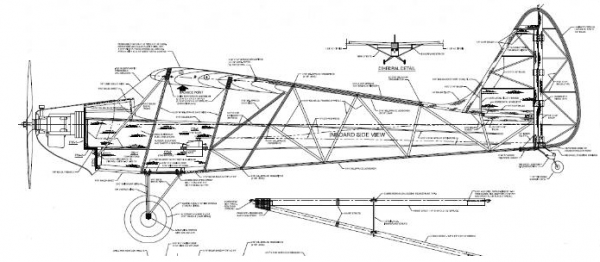 Arctic Tern 1/4 Bauplan